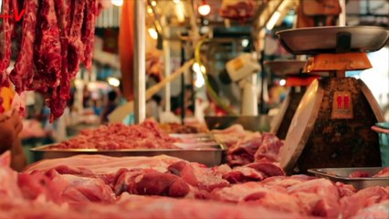 Dieticians Unlock the Carnivore Diet and Reveal ‘No Benefit’