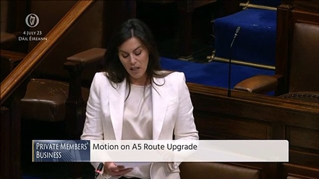 Rail review draft to be published for eco-assessment and public consultation this month, says Carroll MacNeill