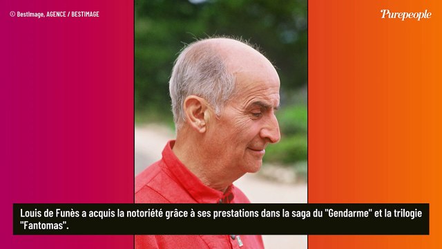 Louis de Funès : Son sublime château acheté aux enchères, où il se reposait après que son corps l'a lâché