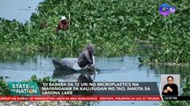 'Di bababa sa 12 uri ng microplastics na mapanganib sa kalusugan ng tao, nakita sa Laguna Lake | SONA