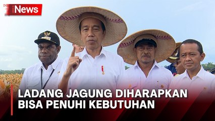 Tinjau Ladang Jagung di Papua, Jokowi: Semoga Mampu Penuhi Kebutuhan Jagung di Indonesia Timur