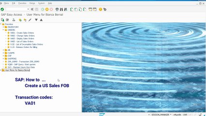 SD Create a US Sales FOB