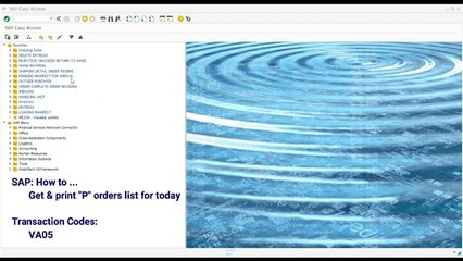 SD Get & print P orders list for today