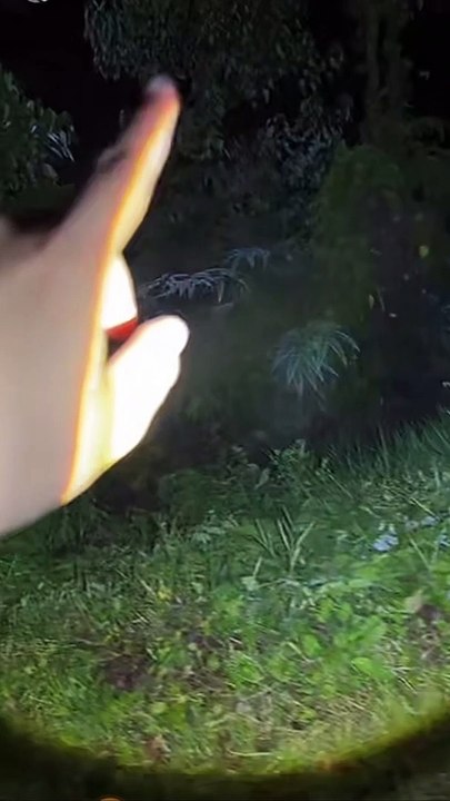 Paranormal activity ghost on camera part 176