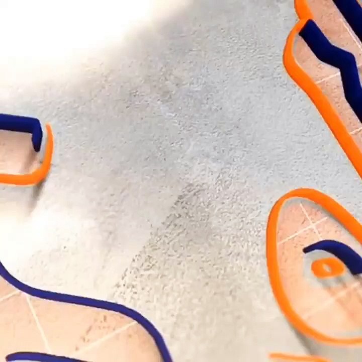 تشاد: يعرب شواء دازي، الرئيس السابق لحركة الديم...