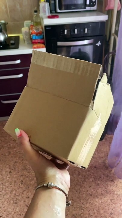 Big Cat Tries to Fit Into a Small Box