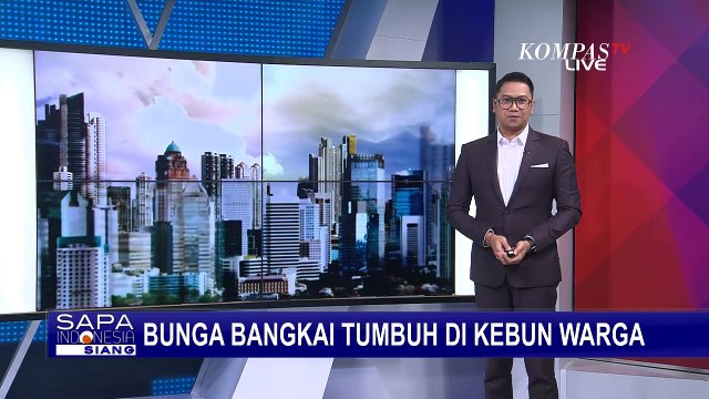 BKSDA Temukan Bunga Bangkai Tumbuh di Kebun Warga di Nagari Koto Tuo Sumbar!