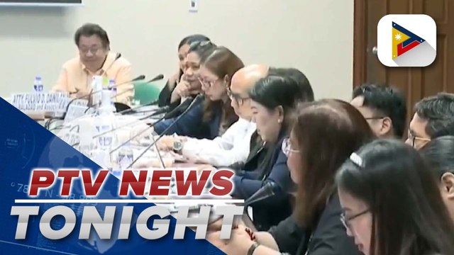 Senate conducts hearing on proposal to impose VAT on digital transactions