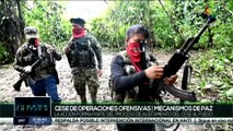 Jugada Crítica 06-07: Colombia, cese de operaciones ofensivas