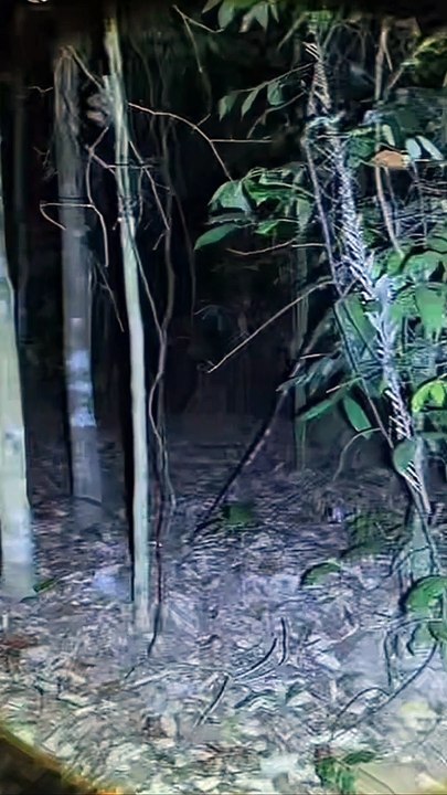 Paranormal activity ghost on camera part 178