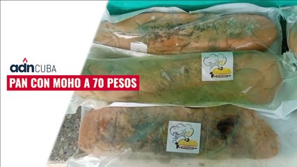 ¡Increíble! Pan con moho en Pinar del Río por 70 pesos 🥖