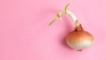 Is It Safe to Eat Sprouted Onions?