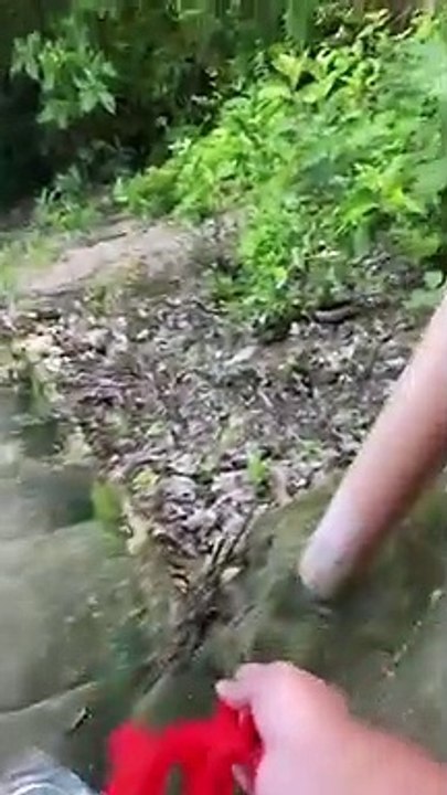Bottles Burst When Spilled on Staircase