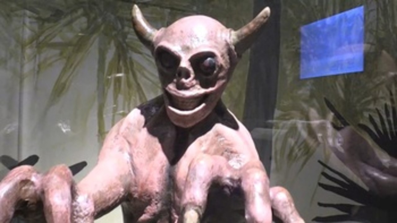 De Polifemo al chupacabras, una exposición examina a las criaturas míticas en Miami