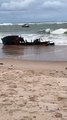 Homens retiram pedaços de madeira do mar em Guarajuba