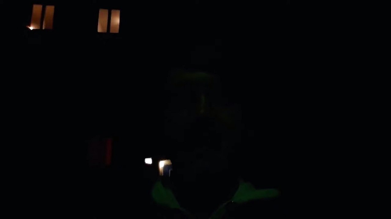 Nächtlicher Spaziergang und Müll wegbringen #BeginnerGerman #ALevel