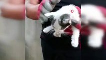 Enkaz altında kalan kedi yavrularını itfaiye kurtardı