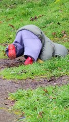 Discovering The Joy Of Muddy Puddles