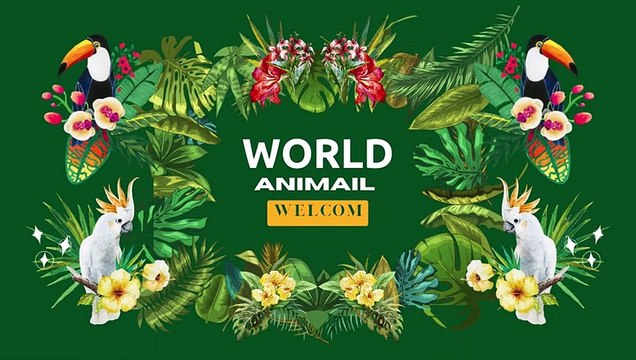 Le renard roux# le renard#renard# roux#corbeau renard#