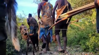 How The Hadzabe Tribe Fights Baboons (And Almost Lose_)(1080P_HD)