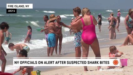 Long Island officials on alert after suspected shark bite reports