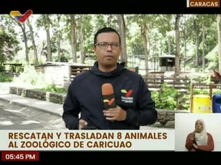 Rescatan y trasladan 8 animales de la parroquia El Valle al Zoológico de Caricuao