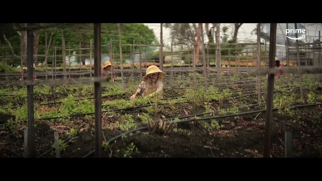 The Lost Flowers of Alice Hart New Trailer