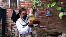Se registran casos de dengue en la jurisdicción sanitaria 7, con 3 casos en Cihuatlán
