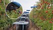 Are fruit-picking drones the future of harvesting?