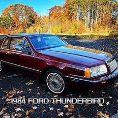 1984 FORD THUNDERBIRD . Classic muscle cars show. سيارات كلاسيكيه