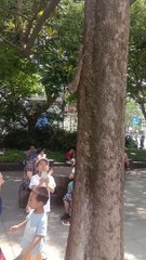 Incroyable! Soyez témoin de la rencontre magique - écureuils et pigeons au milieu de la beauté du lac de l'ouest de Hangzhou en Chine 見證奇幻邂逅—杭州西湖美景中的松鼠與鴿子