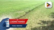 DENR-WRMO, naglabas ng guidelines para sa water conservation ng mga ahensiya ng pamahalaan