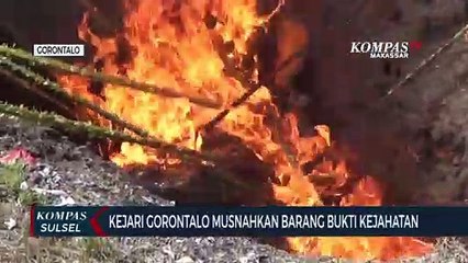 Kejari Gorontalo Musnahkan Barang Bukti Kejahatan