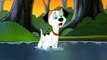 101 Dalmations the Series Season 2 Episode 34 2/2 splishing and splashing,   Disney dog animation