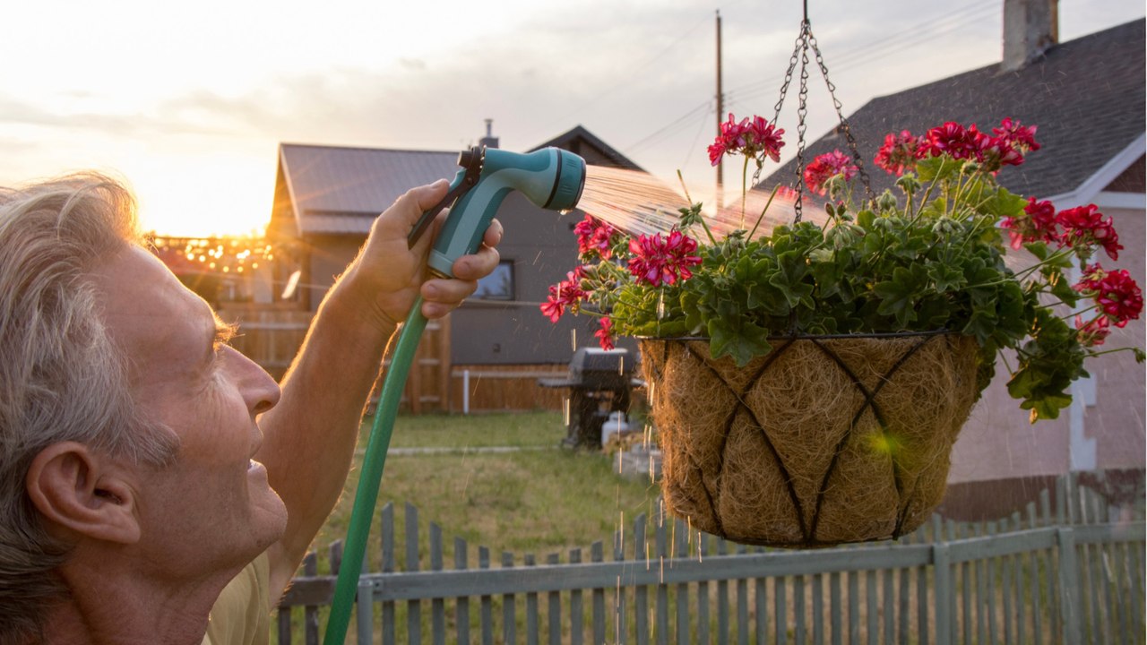 An heißen sommertagen bei sonnenaufgang gießen