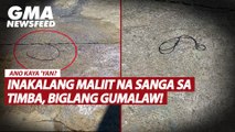 Inakalang maliit na sanga sa timba, biglang gumalaw! | GMA News Feed
