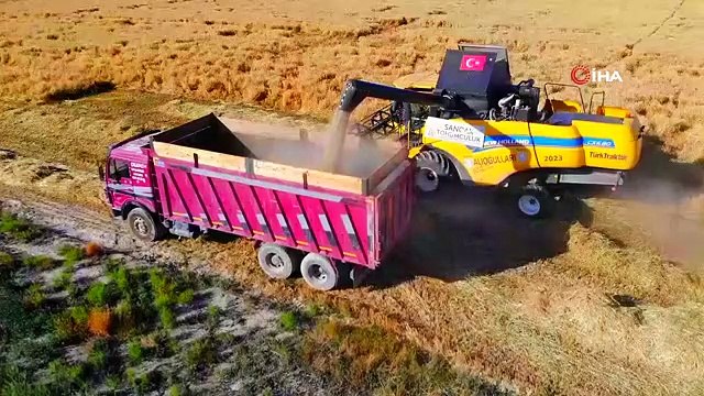 Tahıl ambarı Konya Ovası'nda arpa hasadı başladı