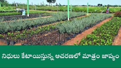 సూర్యాపేట: లక్ష్యాలు అందుకోలేని హరితహారం కార్యక్రమం