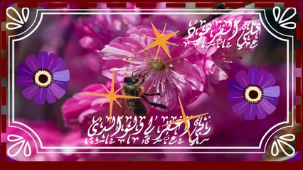 قران الكريم من اجمل الاصوات