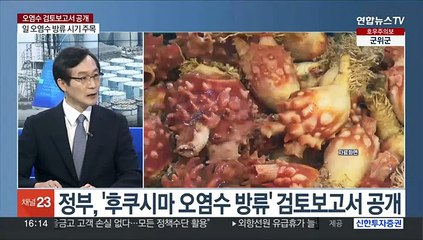 [1번지이슈] 오염수 검토보고서 "목표치 적합"…IAEA 수장 방한
