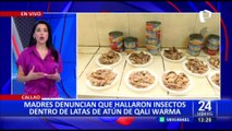 Callao: Denuncian presencia de insectos en latas de atún de Qali Warma