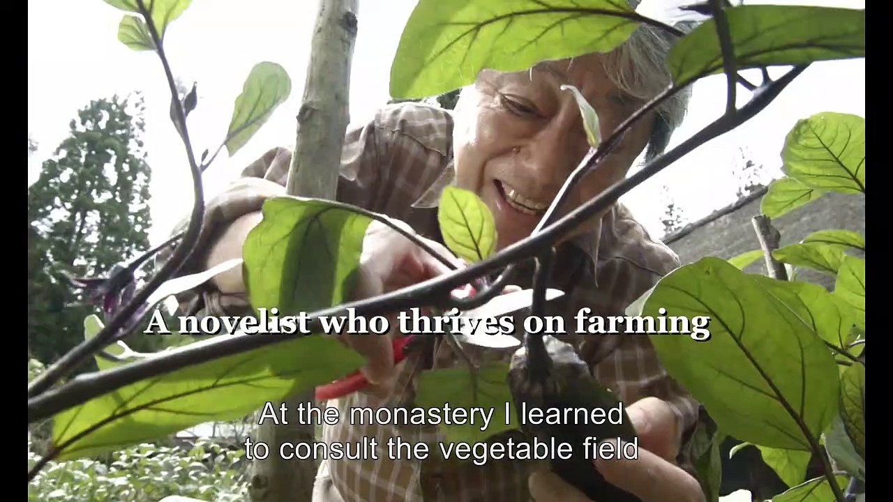 Das Zen Tagebuch Trailer OmeU