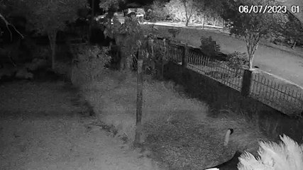 Morador de Juvinópolis pede ajuda para localizar Ford Escort furtado