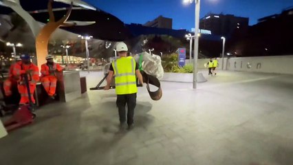 Ozzy the bull returns to Birmingham New Street