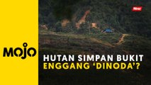 Amanah Kedah dakwa aktiviti korek REE masih berlaku