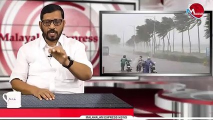മരം വീണ് ഇനിയുമൊരു ജീവൻ നഷ്ടപ്പെടരുത് , കപട പ്രകൃതി സ്നേഹിയെ തൂക്കിയെടുത്തെറിയണം