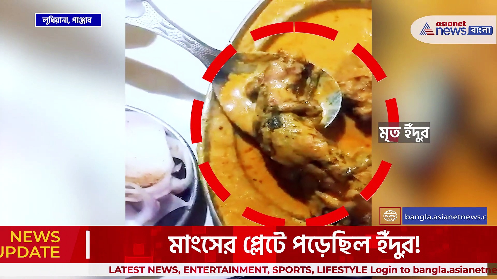 একটু হলেই পেটে যেত! খাবারের প্লেটে আস্ত মরা ইঁদুর! গ্রেফতার ধাবা মালিক, দেখুন ভিডিও