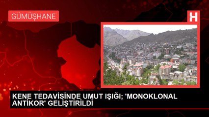 KENE TEDAVİSİNDE UMUT IŞIĞI; 'MONOKLONAL ANTİKOR' GELİŞTİRİLDİ