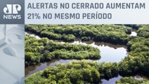 Desmatamento na Amazônia cai 33% no primeiro semestre
