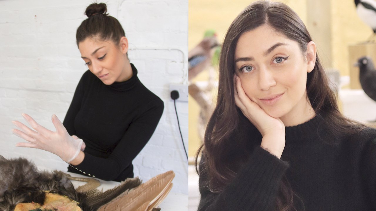 Meet the Woman “Killing” It in Taxidermy - Stuffing Dead Birds for a Living